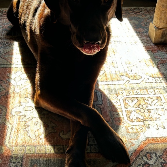 Meet your Posher, Stacy - Picture 1 of 1